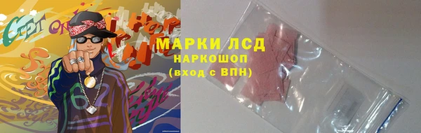 apvp Горняк